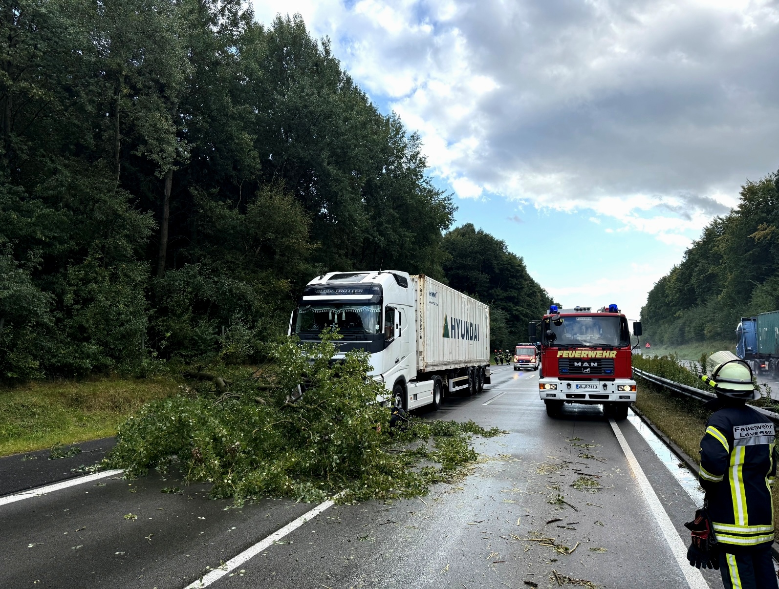 Einsatzfoto TH1 Baum auf LKW